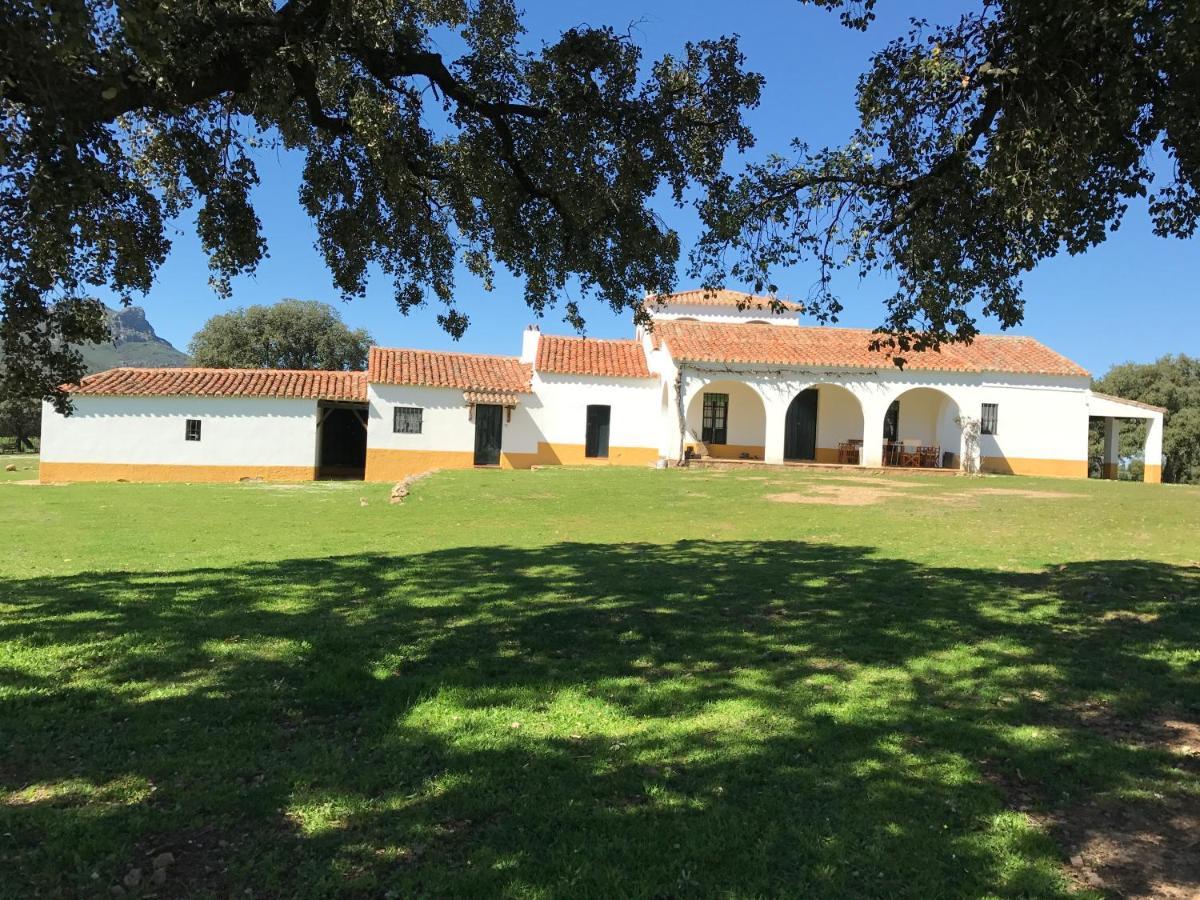 Casa Rural De La Finca Sierra Grande Hornachos Kültér fotó