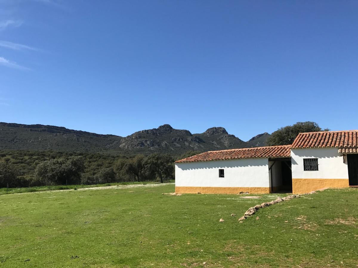 Casa Rural De La Finca Sierra Grande Hornachos Kültér fotó