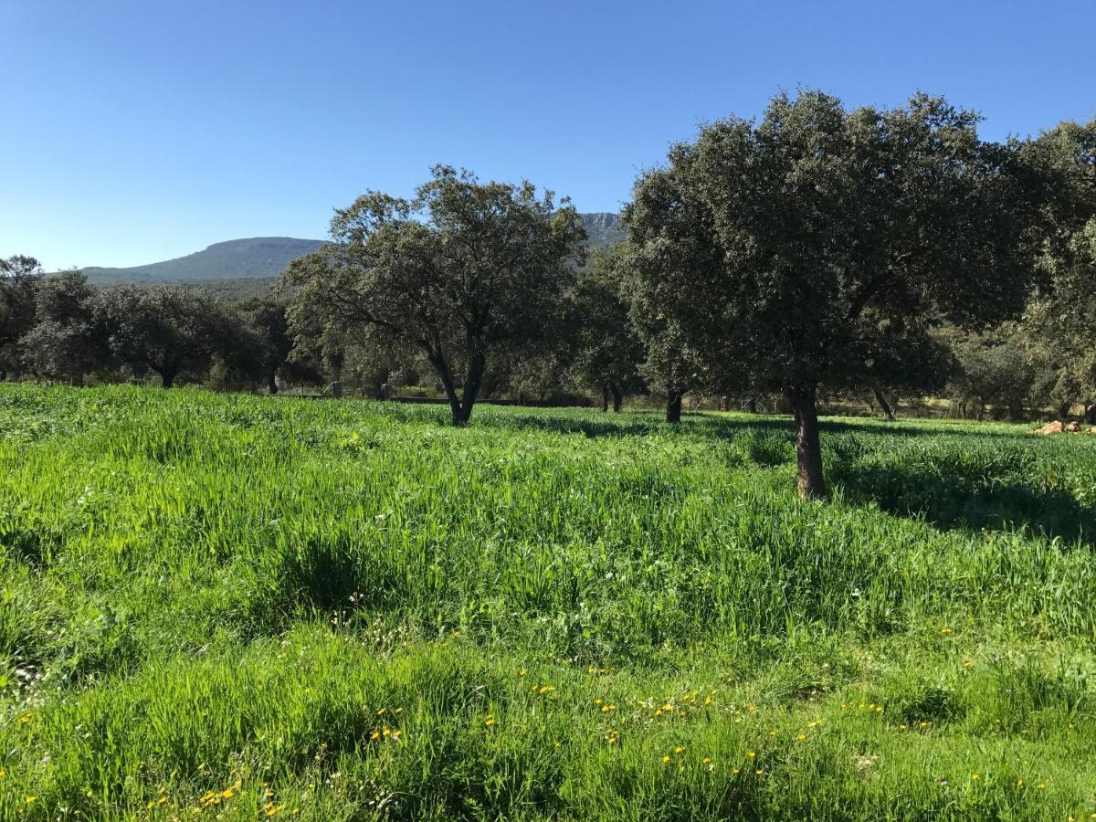 Casa Rural De La Finca Sierra Grande Hornachos Kültér fotó